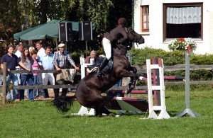 Reitturnier in Mietingen Bild: Andreas Ellinger